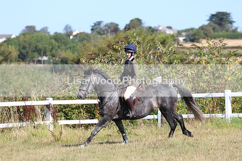 3E7A5521 - Class 3: Working Hunter 70cm