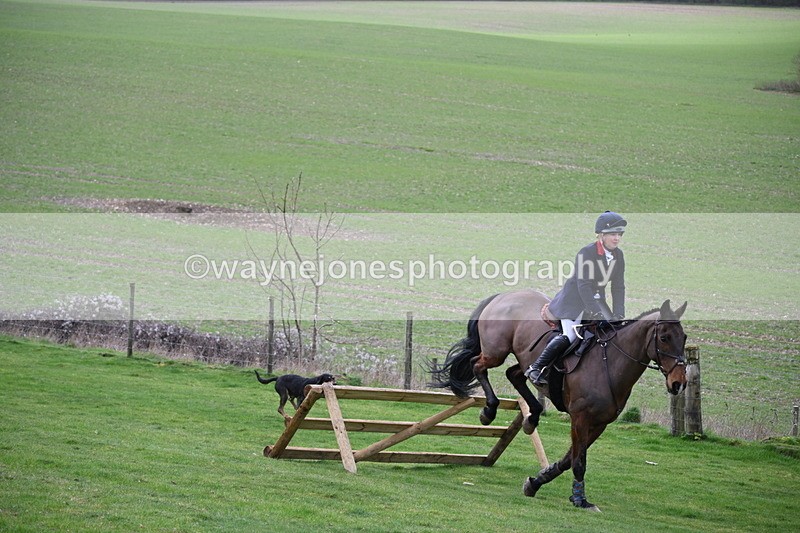 WJ6_9005 - Line Three