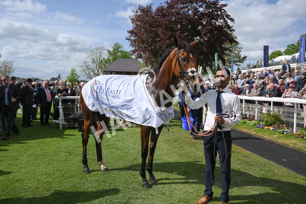 yr12052022r4-64 - Race 4 3.35pm Al Basti Equiworld Dubai Dante Stakes