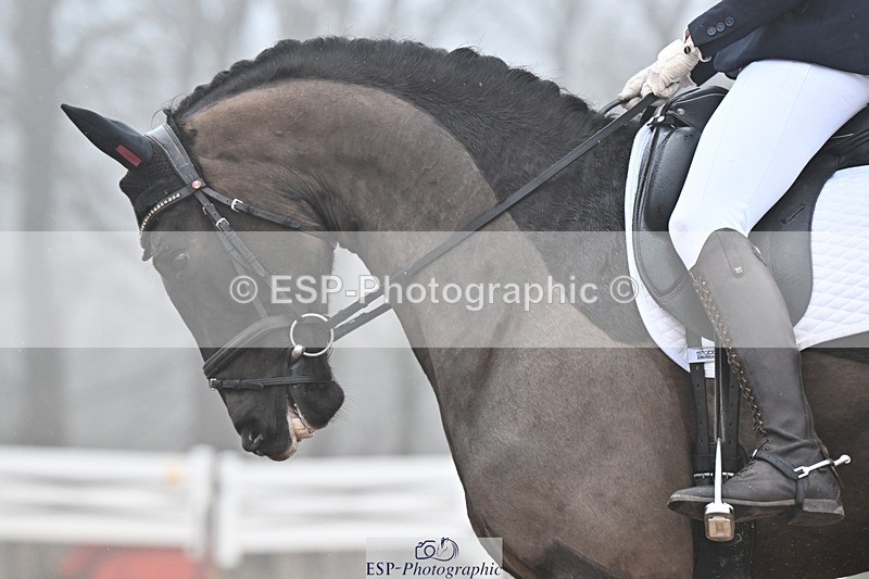 250215-100038-02918 - 107-Caroline.Squire-Viva.Venezuela