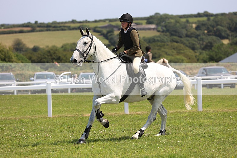JPP_3173 - Class 22: Working Hunter 70cm