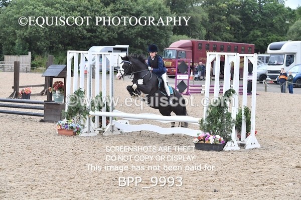 BPP_9993 - CLASS 4 SUN Derby Show Jumping 50CM