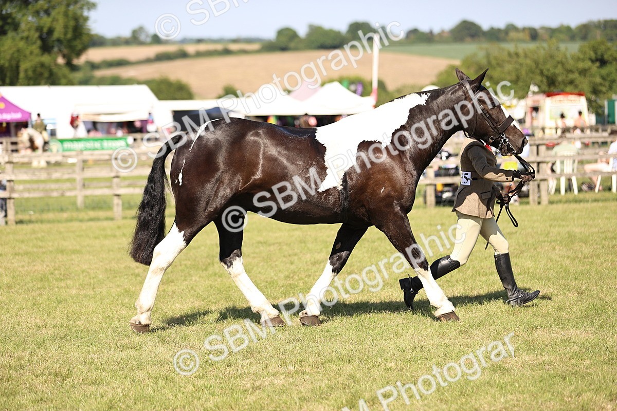 SBM_18719 - Class 84-86 - RIHS BSHA Cobs