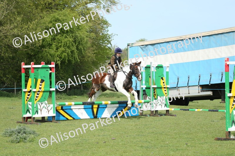 20260426-1591 - Class 14 - Novice 60cm