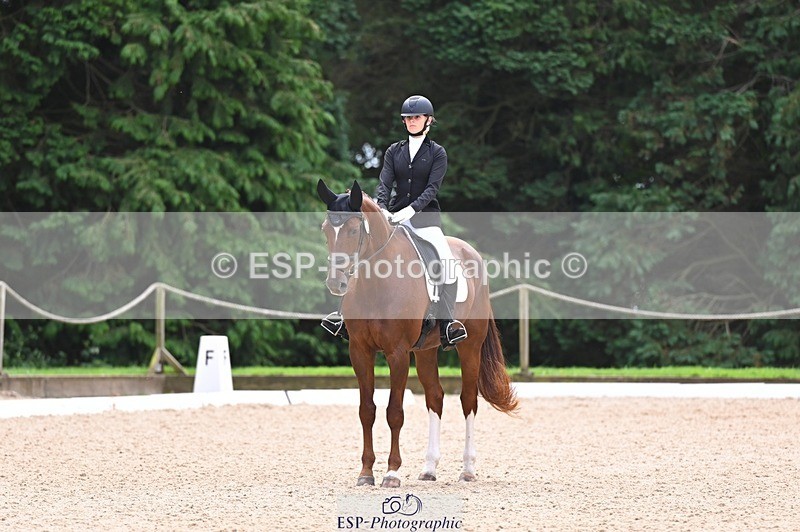 240809-121552-00710 - 185-Daisy.Hedges-Felicia.v