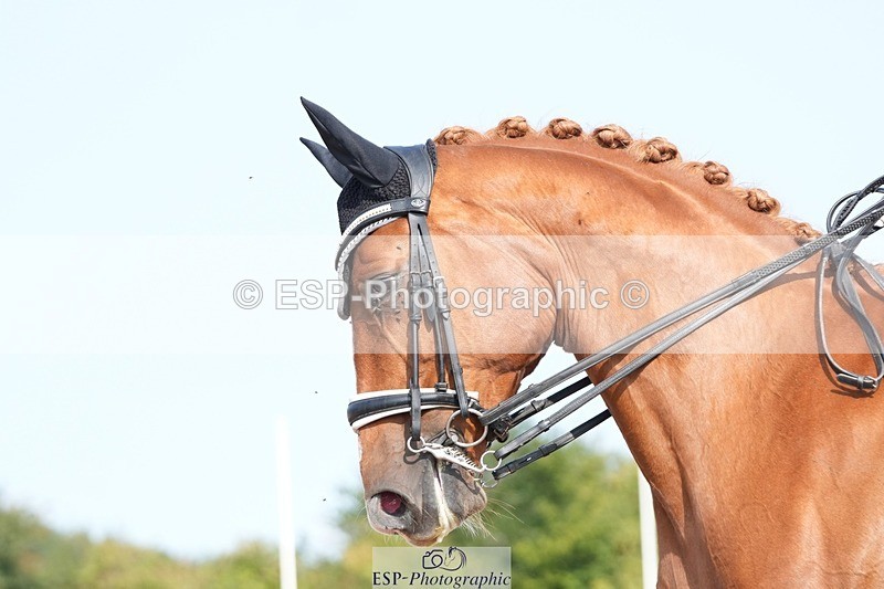 250815-102853-00430 - 007-kelly.jewellAvalon