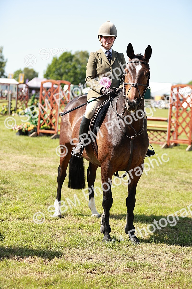 SBM_18477 - Class 112-113 - BSPS LIHS Working Sports Pony