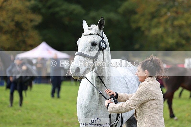 251026A-114542-25667 - F-429-Sarah.Clisby