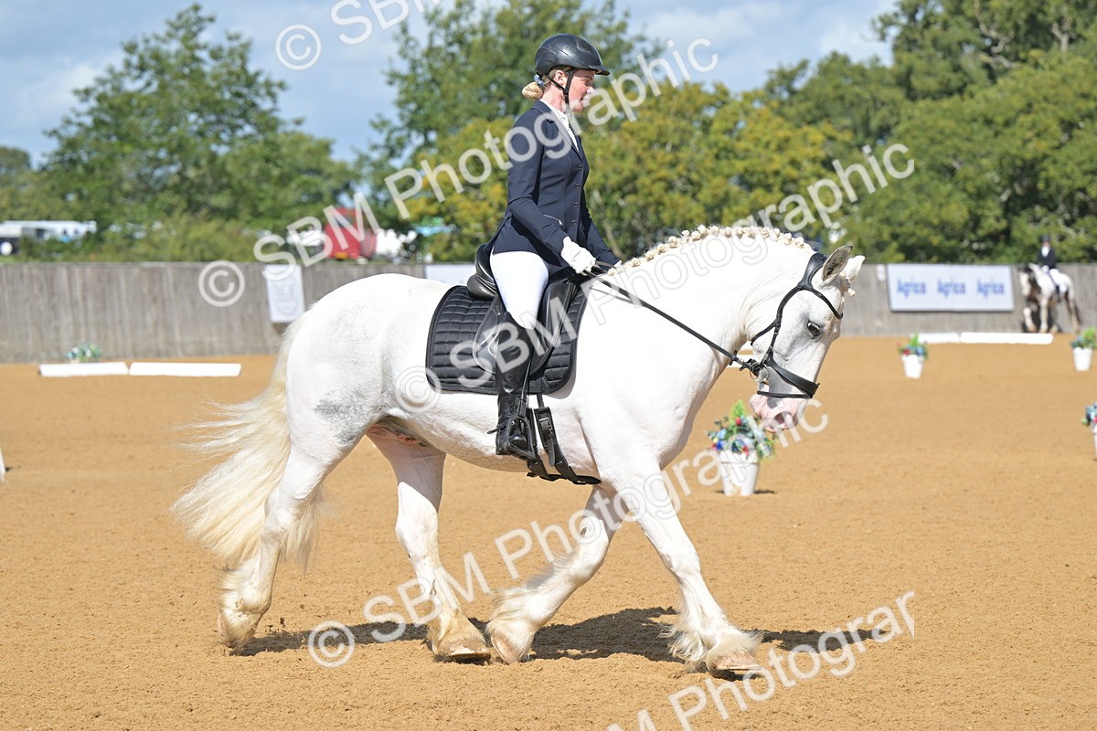 SBM_07977 - D8 - Small Tour Championship Prelim 1