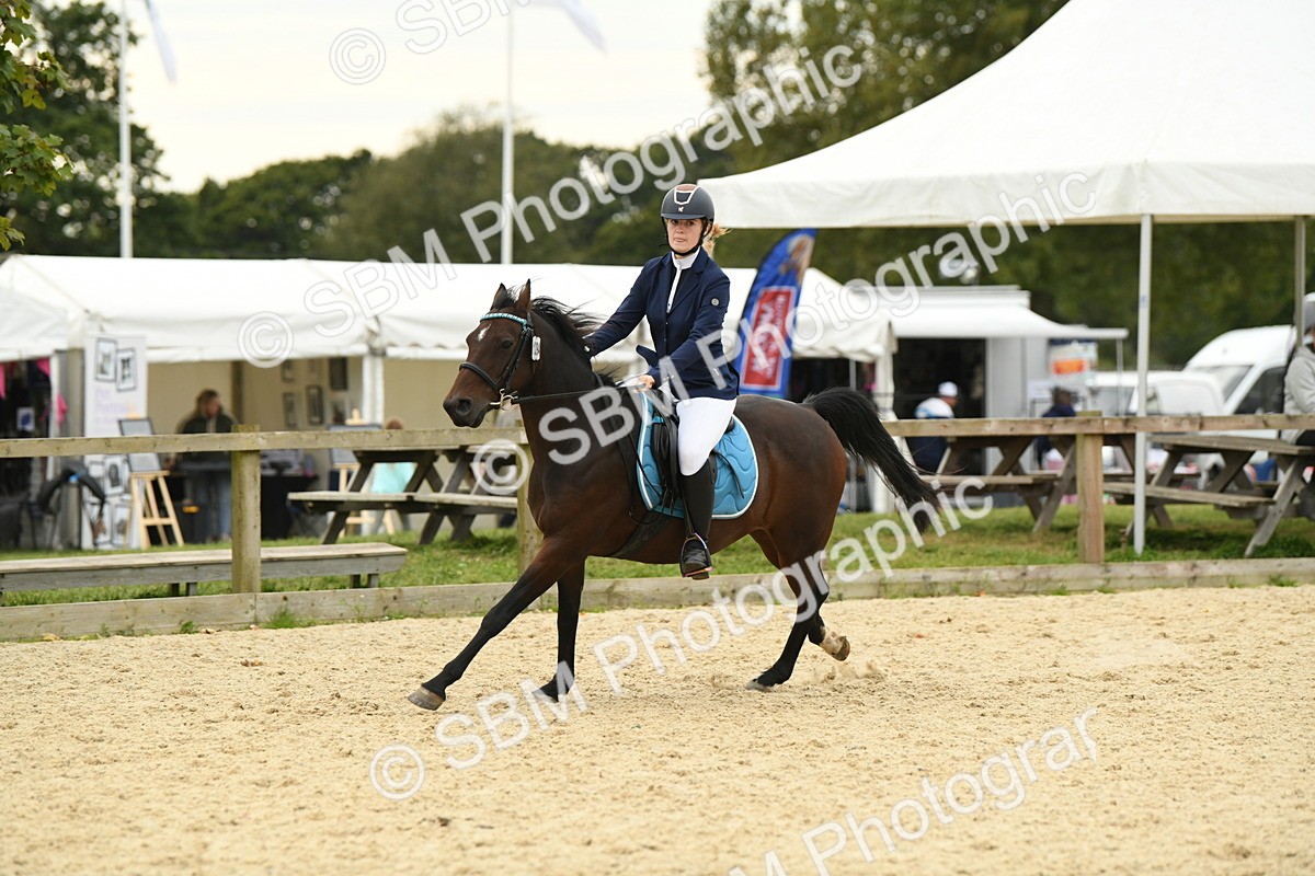 SBM_75809 - Supreme Championship