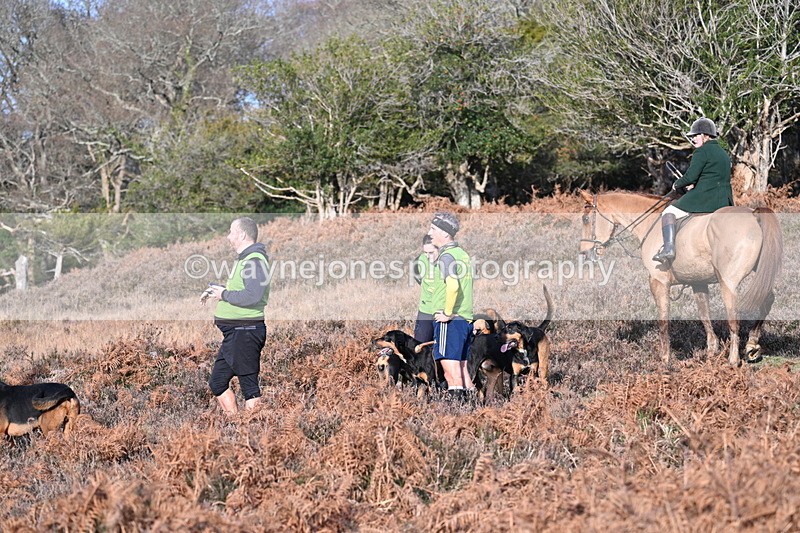 WJ7_7989 - Line 3 (no line 4 or 5)