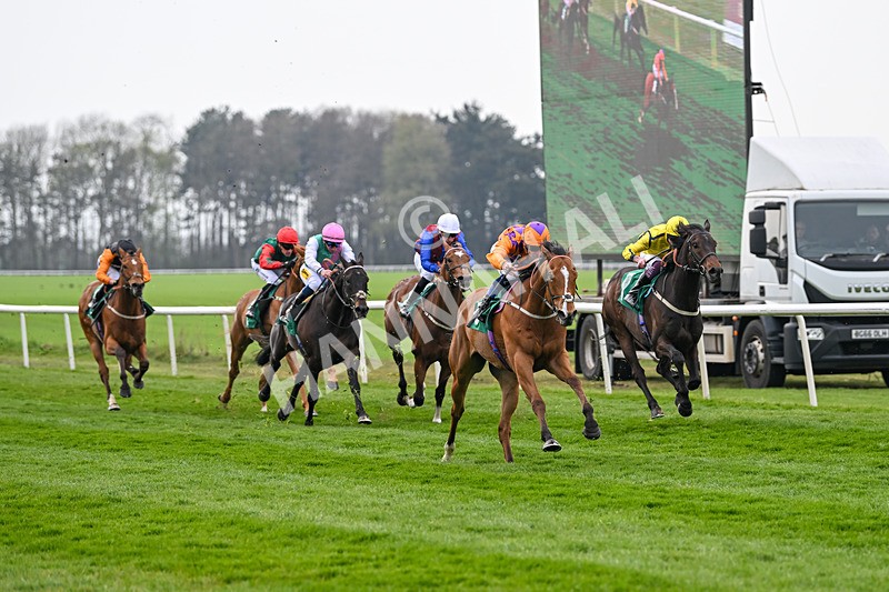 120425-Race 3-Paborus-1035 - Race 3