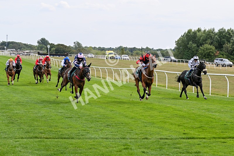 260826-Race 1-Mugheer-2132 - Race 1 14:15 Yorkshire Dales Distillery / EBF Restricted Maiden Stakes