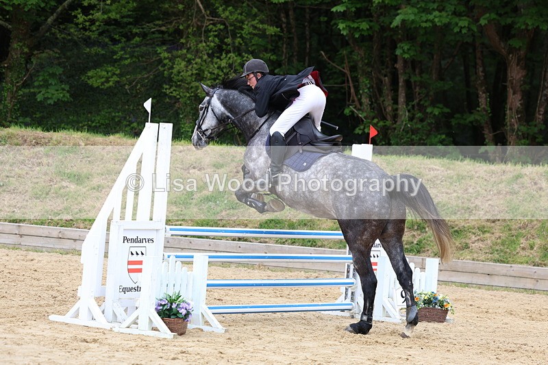 3E7A6214 - Class 4: Senior British Novice/90cm open