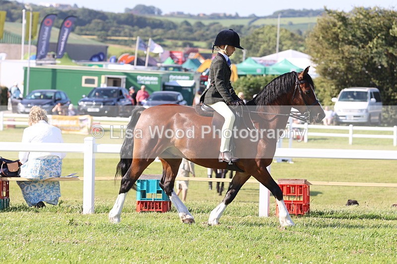 JPP_1254 - Class 18: Cornish Combination Young Rider
