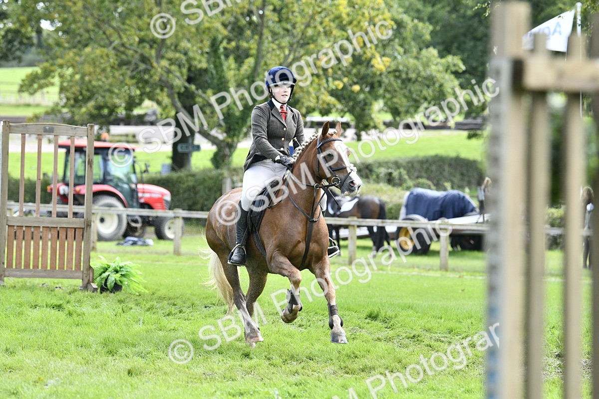 SBM_45642 - S33 - Working Hunter Pony