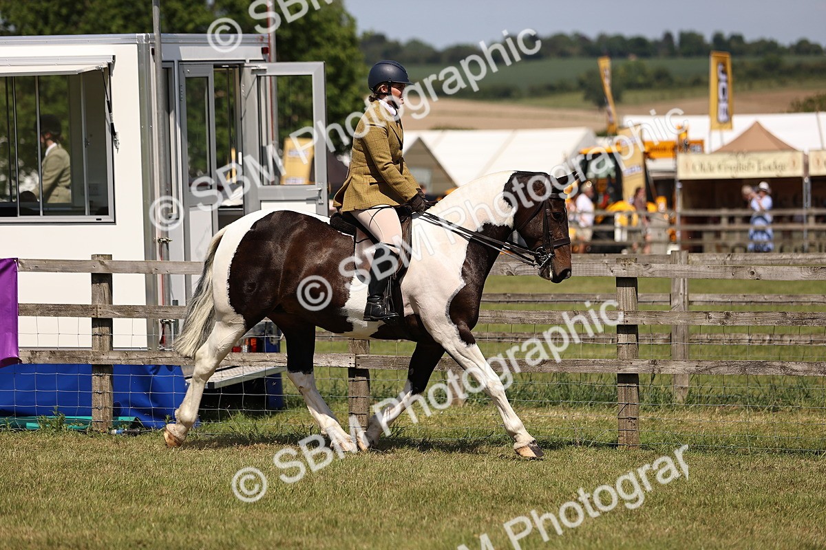SBM_17818 - Class 81-83 - TSR Ridden Amateur of the Year - Horses
