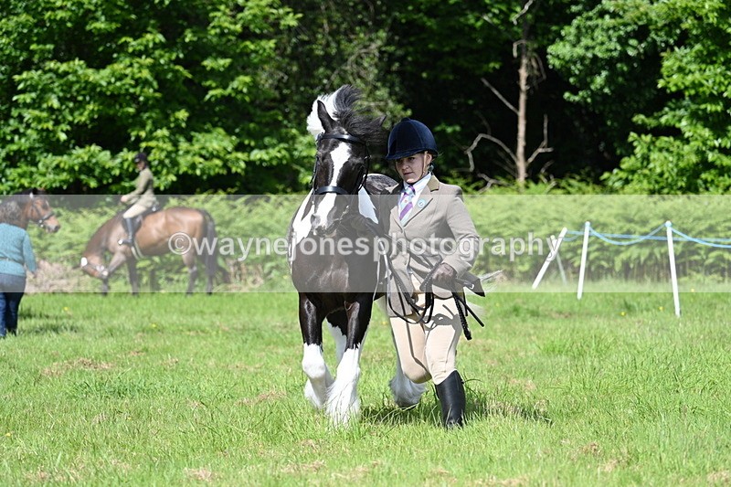 WJ7_1178 - Class 11 Condition & Turnout