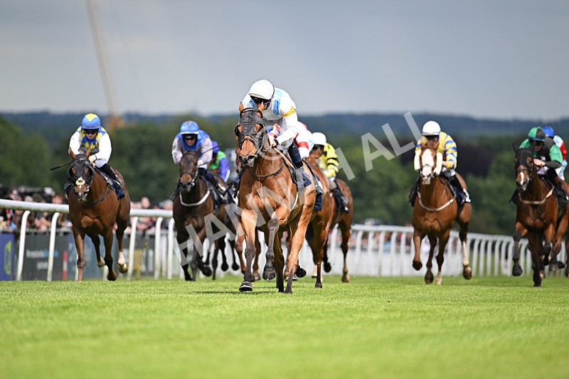 290524-Race 5-Distinction-6632 - Race 5