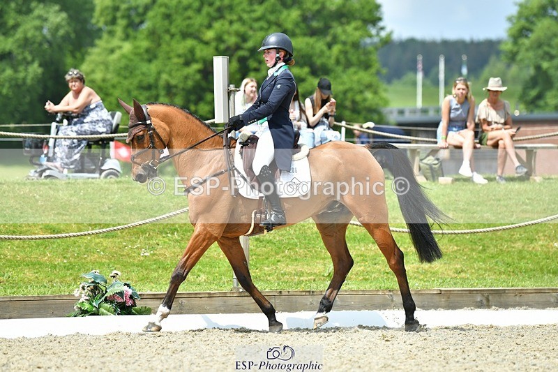 230525-120457-04163 - 206-MEXICAN_WAVE-Daisy_Bathe-WEDTrotUp+DR