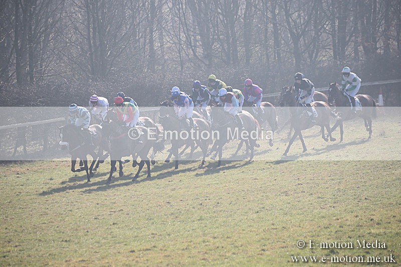 PtP 230219 36 - Vine & Craven Point-To-Point - Barbury 23/02/19