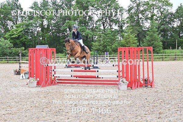 BPP_1466 - CLASS 11 SAT Ariat Senior BritiNovice 2ND ROUND
