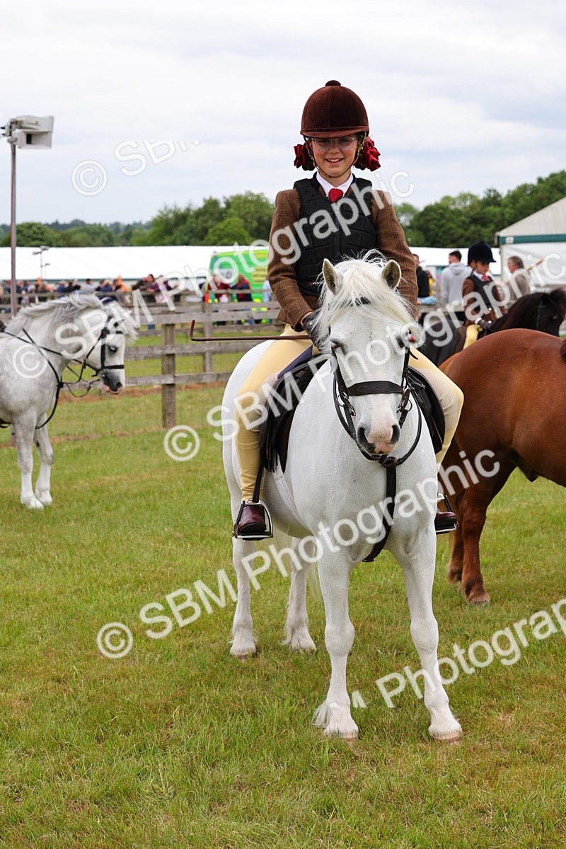 SBM_08845 - Class 42-43 - LIHS BSPS Heritage Working Sports Pony
