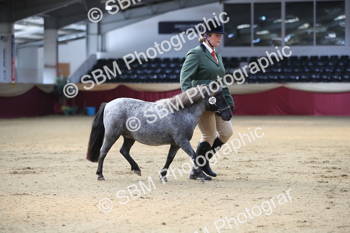 SBM_01304 - Class 3a Area IH Pre Vet