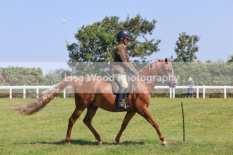 IMG_2236 - Class 37: Pure, Anglo & Part Bred Ridden Arab