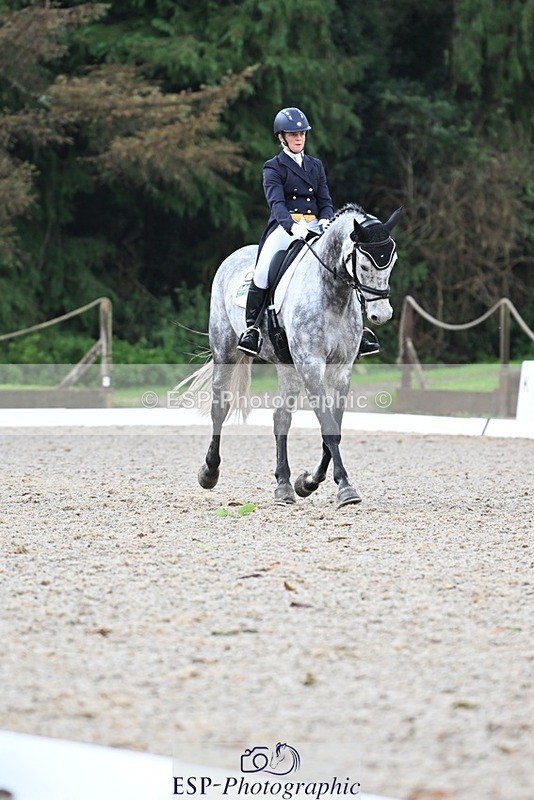 231019-094809-01216 - 028-BOLEYBAWN.COOLEY.LADY-Claire.Fielding-DR