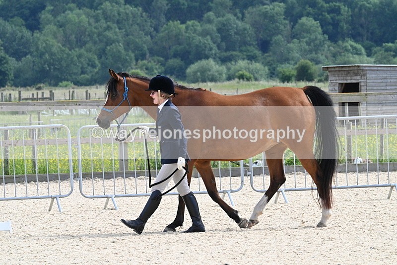 WJ7_8180 - Time 16:10 to 16:25