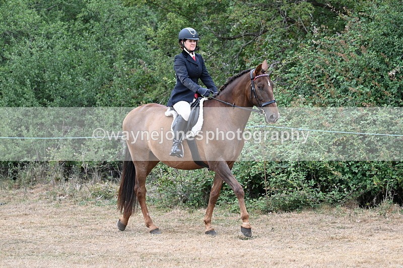 WJ7_0755 - Class 7 Riding Club Show Horse
