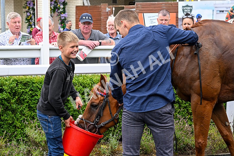 170826-Race 5-Our Absent Friends-5530 - Race 5 16.15pm racingtv.com Handicap