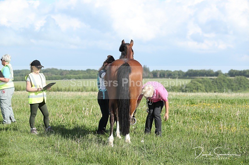 SPXX0032 - Friday vetting