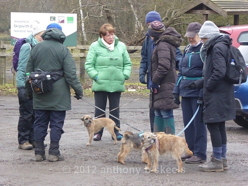 004 A canine get together with friends - York Minster Walkers Collection 2025