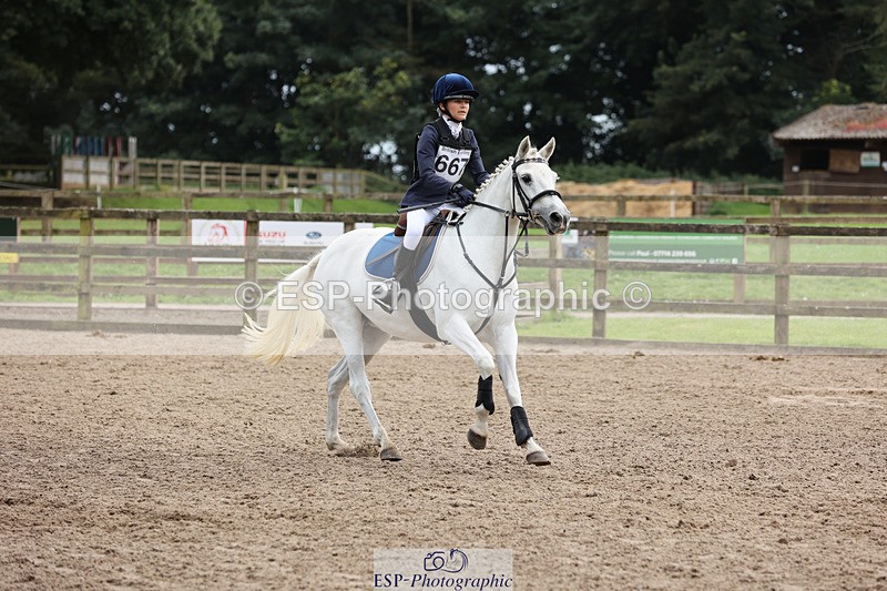 240804-150939-16316 - 667-Daisy_Bishop-CHANDAEM_SHAMROCK