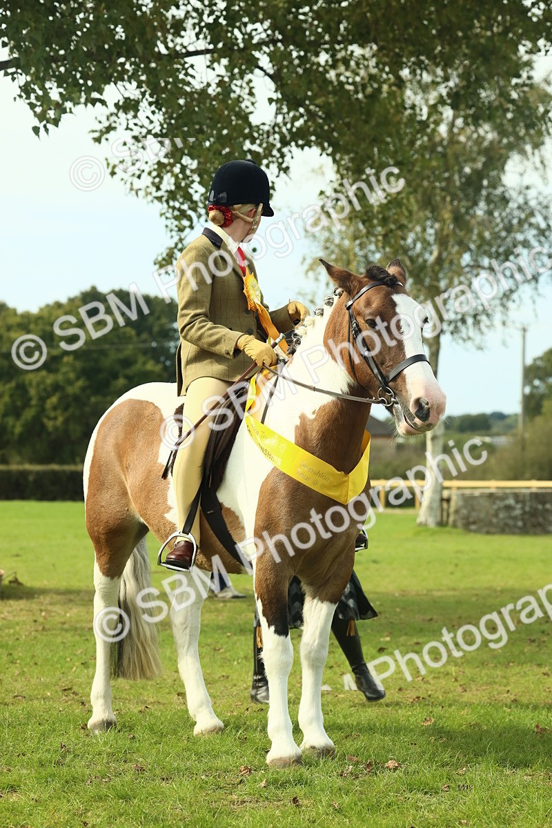 SBM_68144 - S57 - Part Bred Pony Ridden