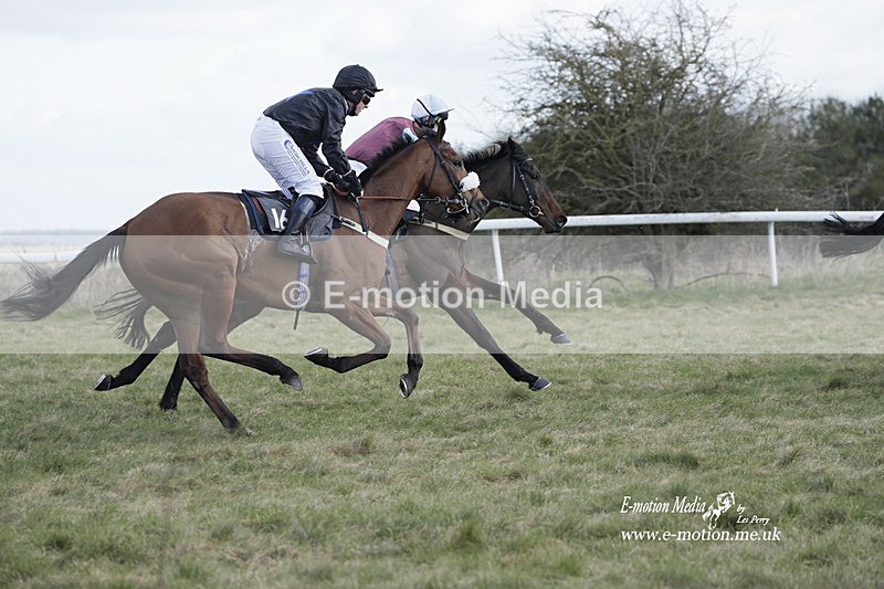 PtP 260223 438 - South & West Wilts Point-to-Point Larkhill 26/02/23