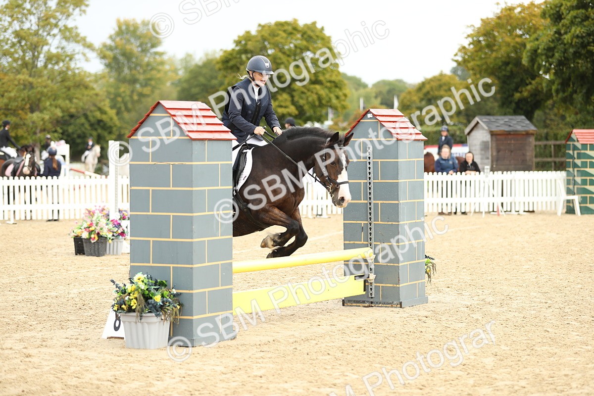 SBM_02010 - J34 - Veteran Rider 50cm