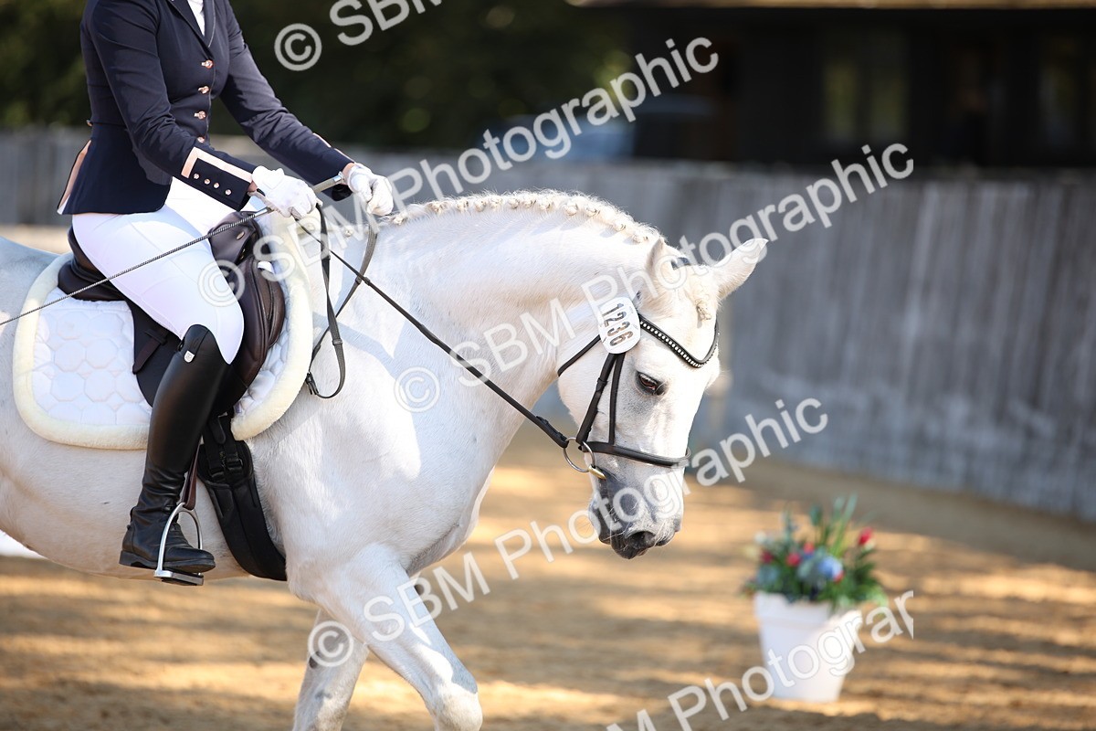 SBM_18552 - D31 - Grand Tour - PYO Open