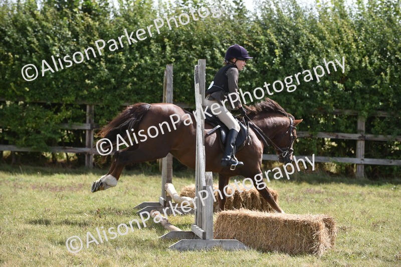 20250831-3926 - Class 11 - Working Hunter Pony 13hh and Under