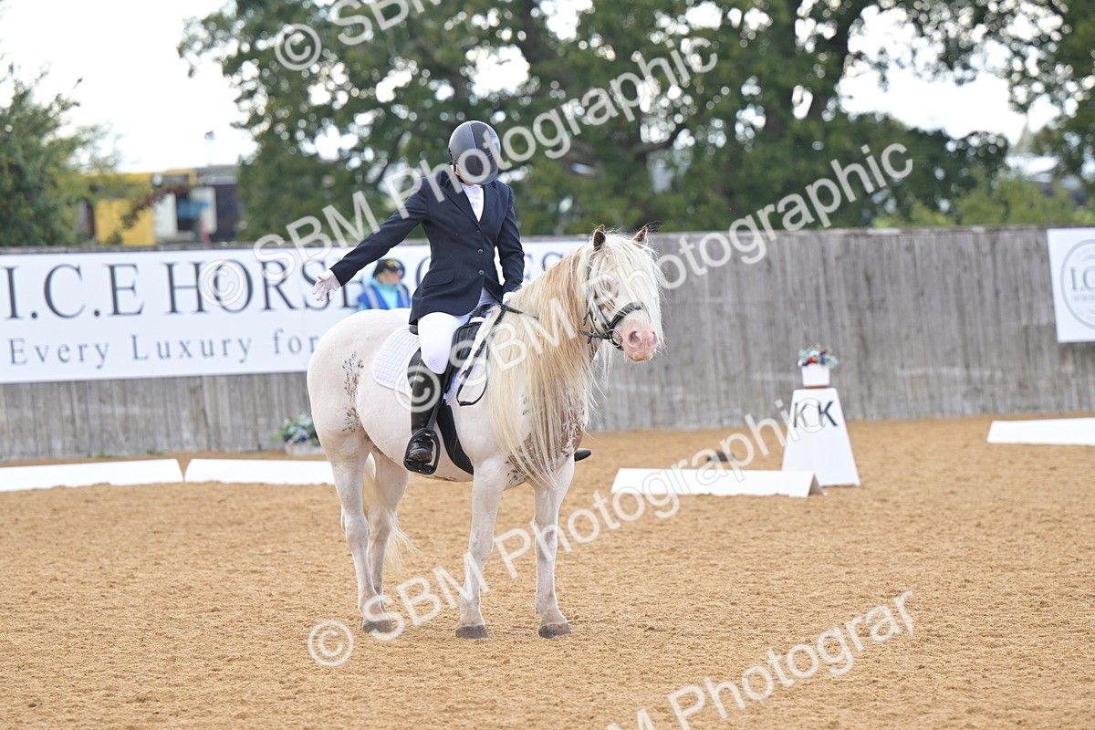 SBM_11229 - D3 - Small Tour Championship Intro 3
