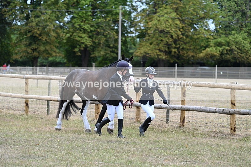 WJ7_8914 - Class 4a Prettiest Mare 14.2hh and over