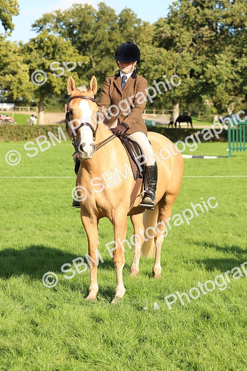 SBM_50162 - S34 - Novice & Newcomers Working Hunter