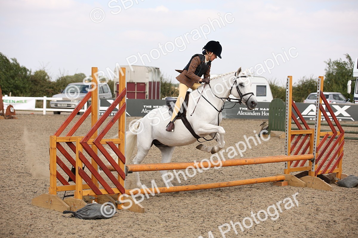 SBM_14257 - Class 407b - Working Veteran 60cm (20+)