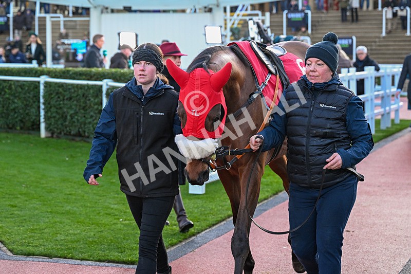 121225-Race 7-Lucky Manifest-7077 - Race 7