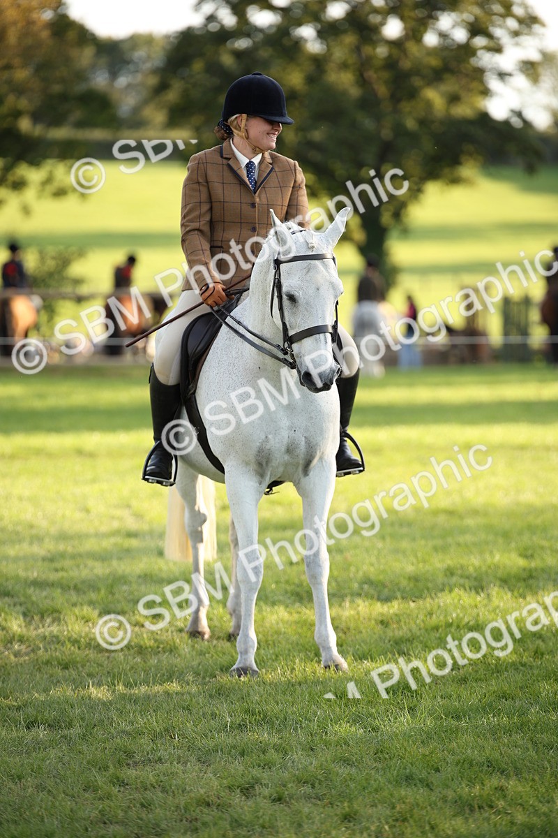 SBM_54432 - S27 - Mature Veteran - Ridden