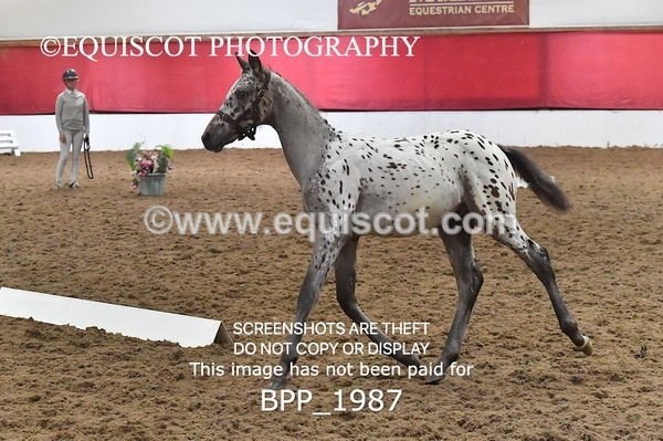 BPP_1987 - AFTERNOON 12.30 - 3.30PM