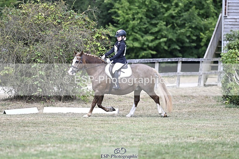 250821A-123216-15584 - DR 11.00 to 12.00