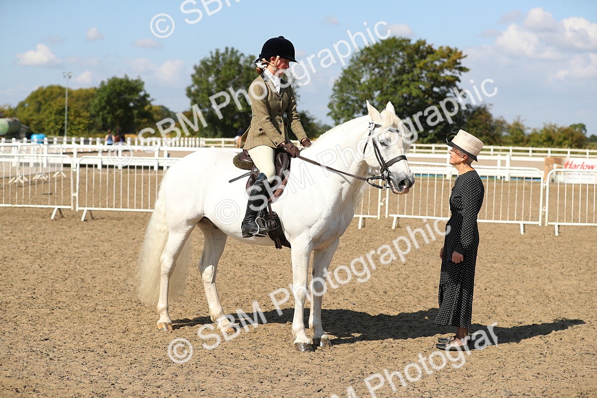 SBM_03168 - Class 44 Riding Club Horse/ Pony